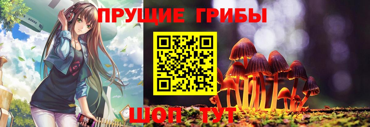 Меф Солнечногорск